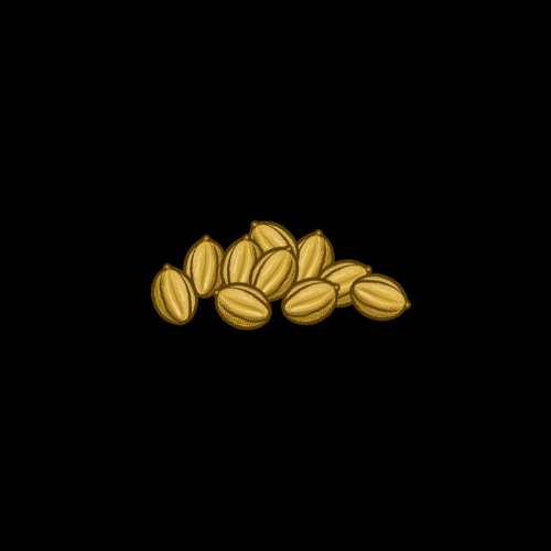 Graine