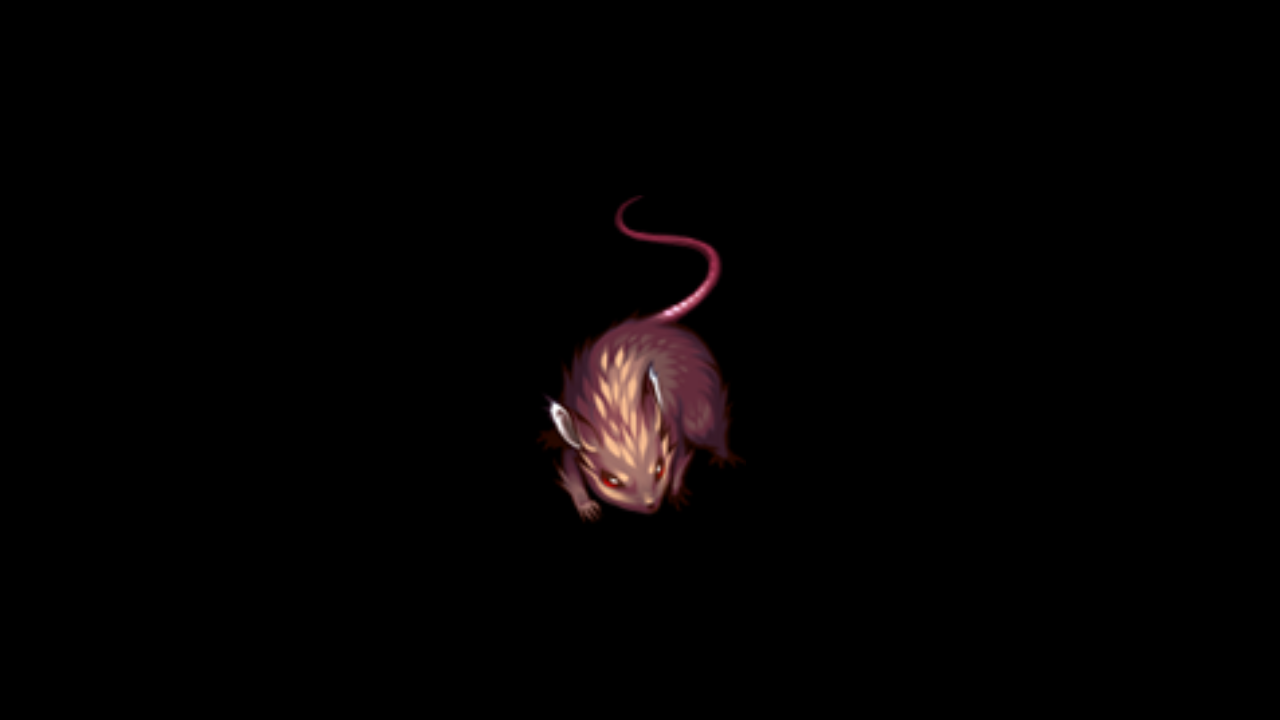 Rat